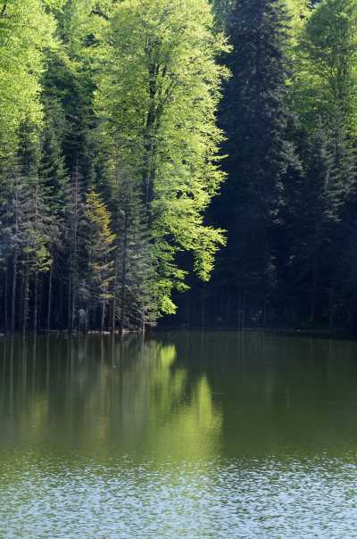 Torkul Yaylası ve Göleti